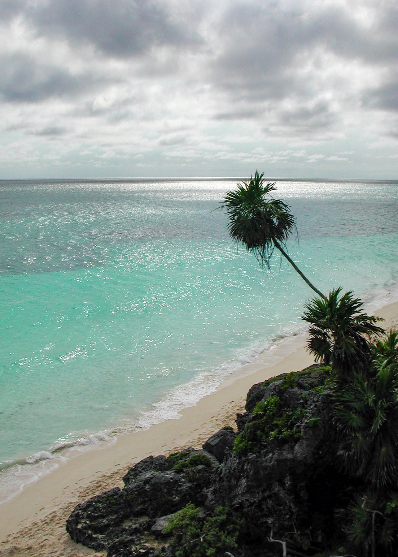 A tropical shoreline with turquoise water and palm trees